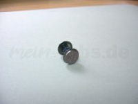 PIKO 56171 - H0 - Radsatz Taurus bedruckt ohne Haftreifen - AC